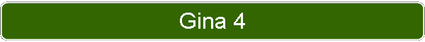 Gina 4
